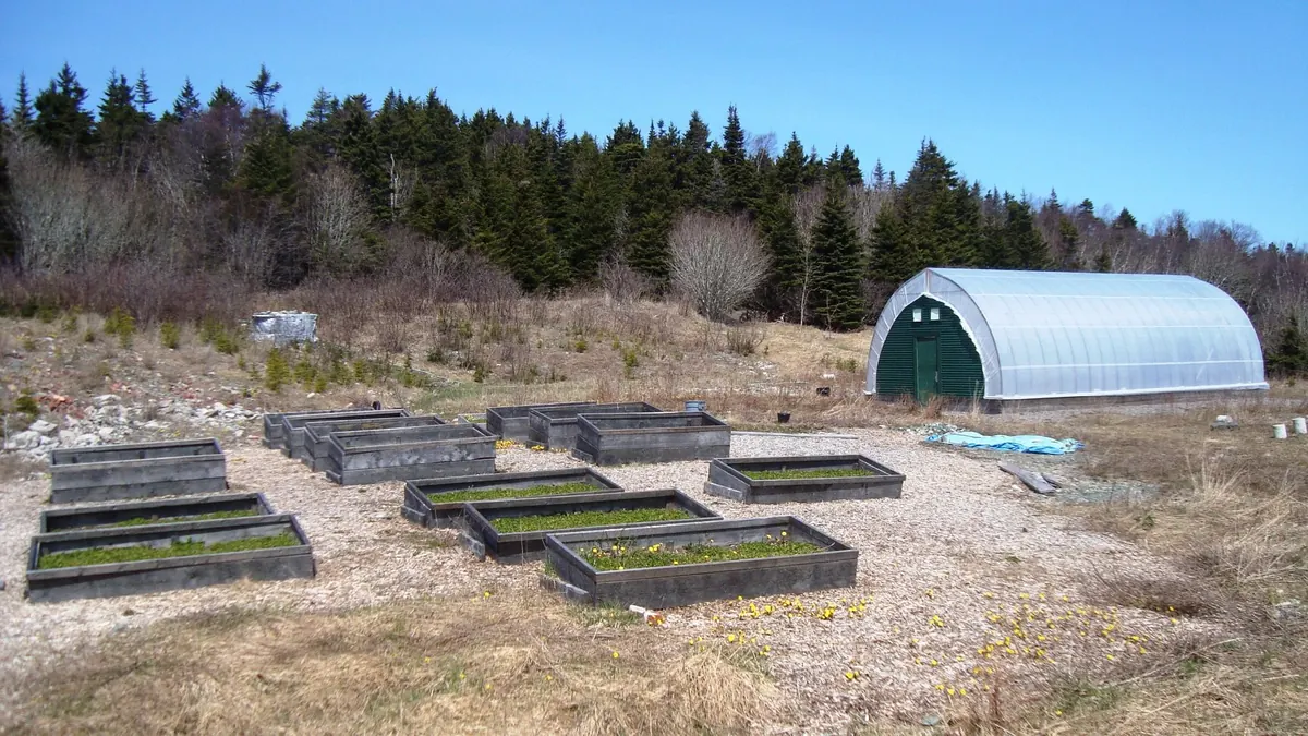 How to Build a No-Dig Raised Bed in a Small Garden
