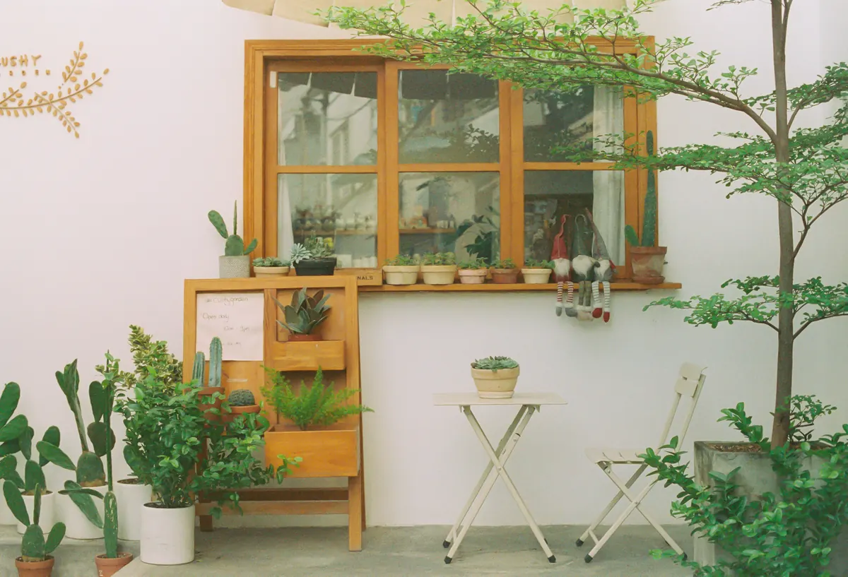 Patio Container Gardening: Best Herbs for Outdoor Living
